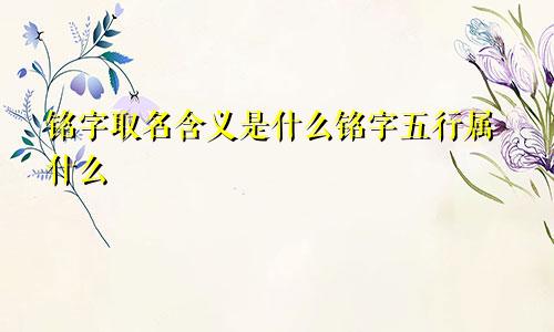 铭字取名含义是什么铭字五行属什么