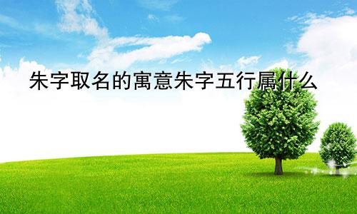 朱字取名的寓意朱字五行属什么