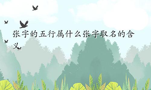 张字的五行属什么张字取名的含义