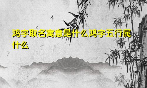 鸿字取名寓意是什么鸿字五行属什么