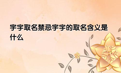 宇字取名禁忌宇字的取名含义是什么