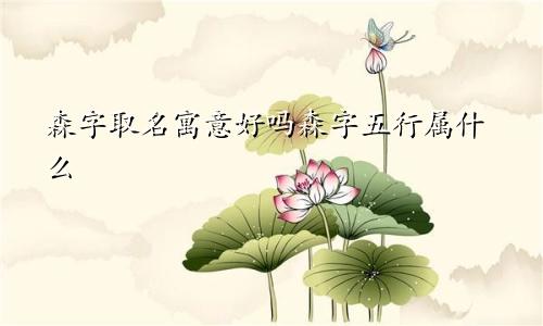 森字取名寓意好吗森字五行属什么