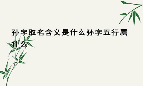 孙字取名含义是什么孙字五行属什么