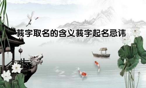 莪字取名的含义莪字起名忌讳