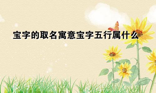 宝字的取名寓意宝字五行属什么