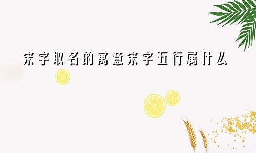 宋字取名的寓意宋字五行属什么