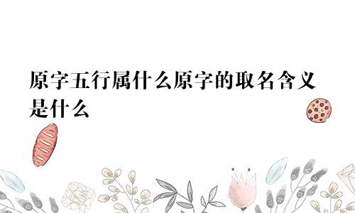 原字五行属什么原字的取名含义是什么