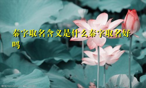 秦字取名含义是什么秦字取名好吗