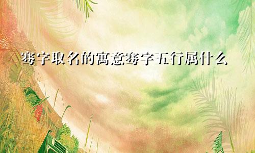 骞字取名的寓意骞字五行属什么