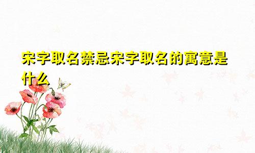 宋字取名禁忌宋字取名的寓意是什么