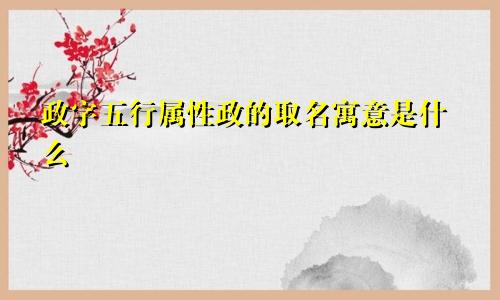 政字五行属性政的取名寓意是什么