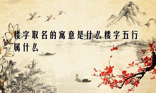 楼字取名的寓意是什么楼字五行属什么