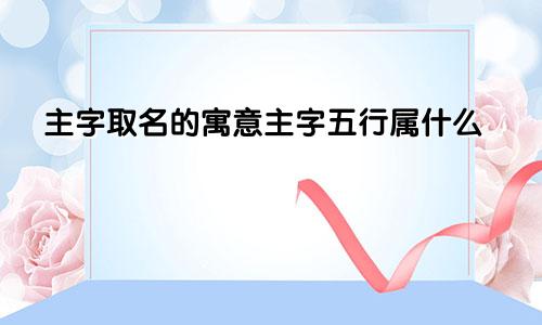 主字取名的寓意主字五行属什么