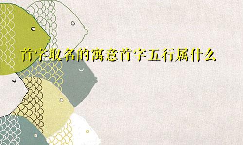 首字取名的寓意首字五行属什么