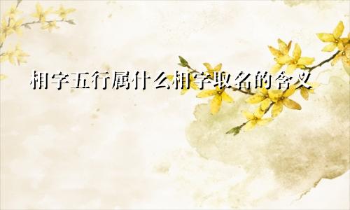 相字五行属什么相字取名的含义