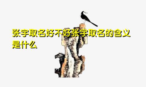 张字取名好不好张字取名的含义是什么