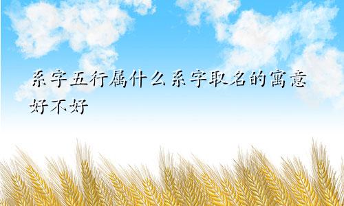 系字五行属什么系字取名的寓意好不好