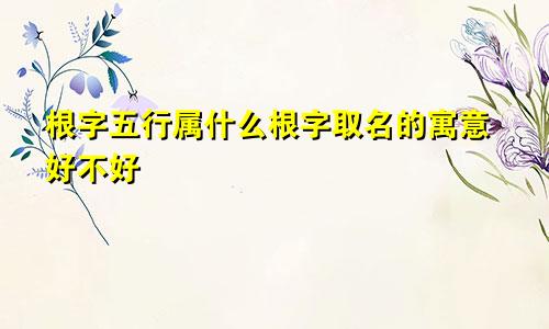 根字五行属什么根字取名的寓意好不好