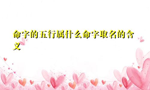 命字的五行属什么命字取名的含义