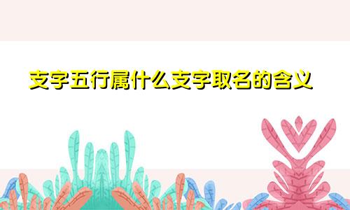 支字五行属什么支字取名的含义