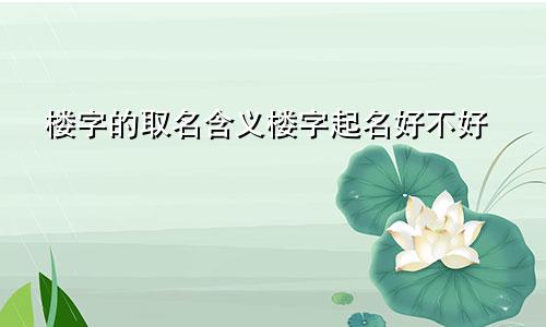 楼字的取名含义楼字起名好不好