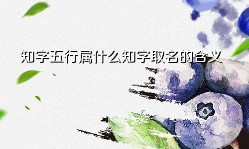 知字五行属什么知字取名的含义