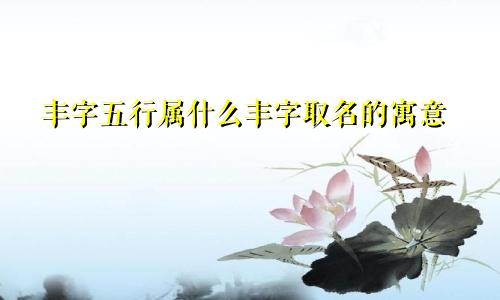 丰字五行属什么丰字取名的寓意