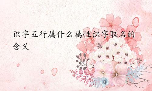 识字五行属什么属性识字取名的含义