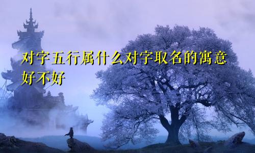 对字五行属什么对字取名的寓意好不好