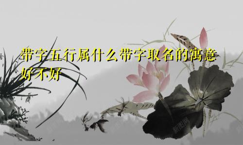 带字五行属什么带字取名的寓意好不好