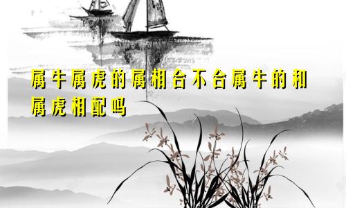 属牛属虎的属相合不合属牛的和属虎相配吗