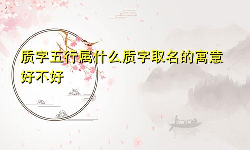 质字五行属什么质字取名的寓意好不好