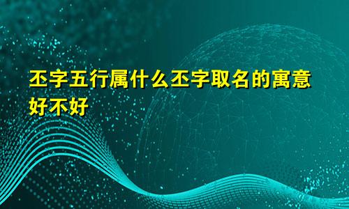 丕字五行属什么丕字取名的寓意好不好