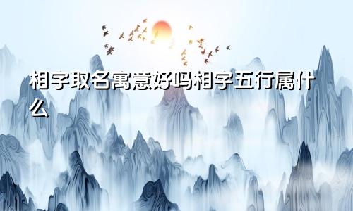 相字取名寓意好吗相字五行属什么