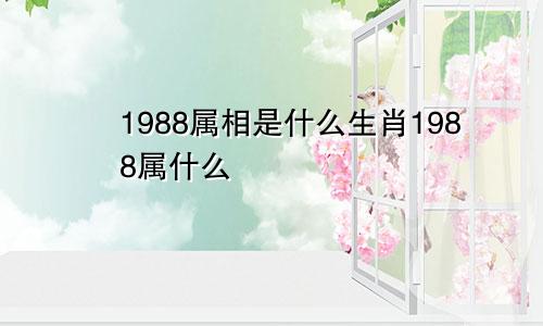 1988属相是什么生肖1988属什么