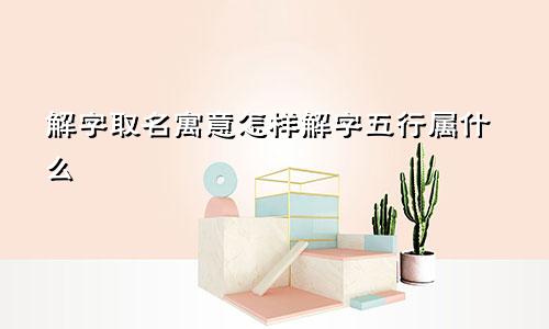 解字取名寓意怎样解字五行属什么