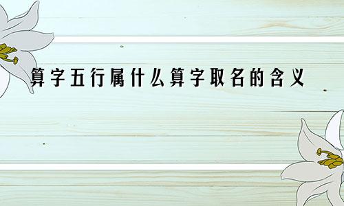 算字五行属什么算字取名的含义