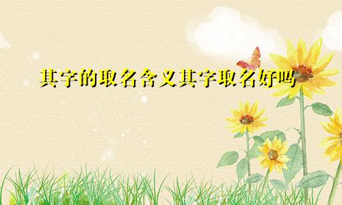 其字的取名含义其字取名好吗