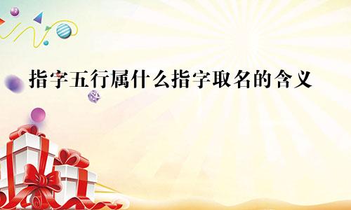 指字五行属什么指字取名的含义