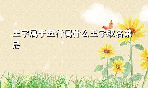 玉字属于五行属什么玉字取名禁忌