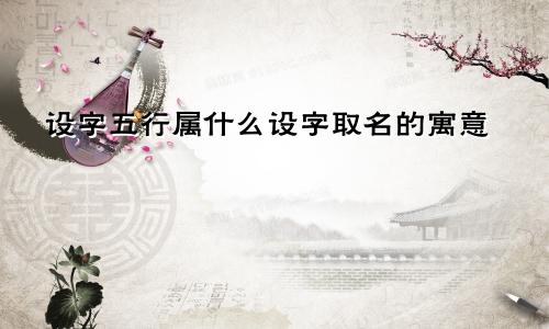 设字五行属什么设字取名的寓意
