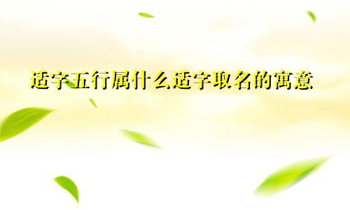 适字五行属什么适字取名的寓意