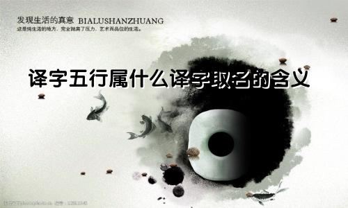 译字五行属什么译字取名的含义