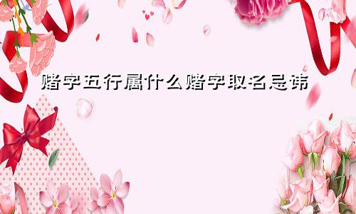 赌字五行属什么赌字取名忌讳