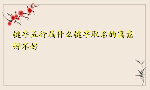 键字五行属什么键字取名的寓意好不好
