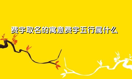 费字取名的寓意费字五行属什么