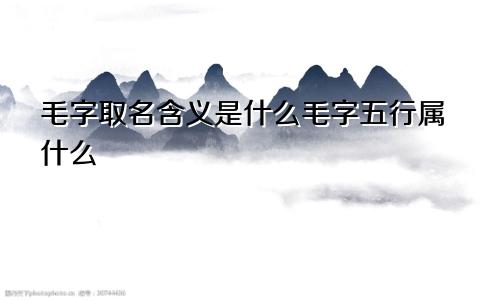 毛字取名含义是什么毛字五行属什么