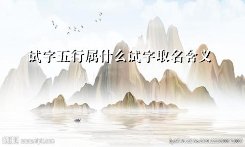 试字五行属什么试字取名含义