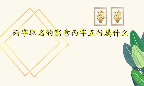 丙字取名的寓意丙字五行属什么