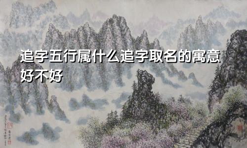 追字五行属什么追字取名的寓意好不好